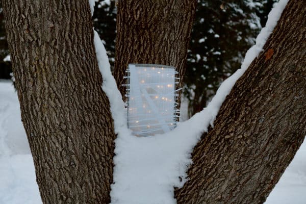 Box #1 original Lumencrafter free-standing light sculpture set in the crook of a tree in snow. Rectangular white battery-powered LED light sculpture, soft white fairy lights shine behind a diffusion plate framed by a sturdy steel grid with several thin twinwall strips poking through, up and down, back and forth.