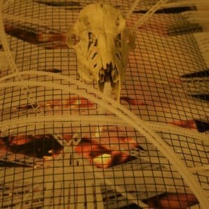 head-on view of Crucible of Beauty, original handmade freestanding LED light sculpture by Lumencrafter at the Grey Highlands Artists Collective 2017 exhibition, Sacred Spaces: Altars by Artists at The Gallery, L.E. Shore Library, Thornbury. A bleached deer skull rests on a bed of polycarbonate strips wildly woven through metal mesh atop an old TV monitor playing a loop of flickering firelight.