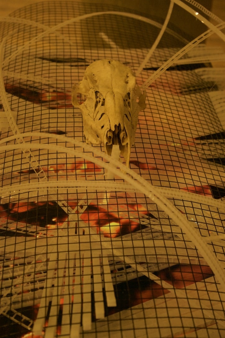 head-on view of Crucible of Beauty, original handmade freestanding LED light sculpture by Lumencrafter at the Grey Highlands Artists Collective 2017 exhibition, Sacred Spaces: Altars by Artists at The Gallery, L.E. Shore Library, Thornbury. A bleached deer skull rests on a bed of polycarbonate strips wildly woven through metal mesh atop an old TV monitor playing a loop of flickering firelight.