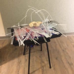 Crucible of Beauty, original handmade freestanding LED light sculpture by Lumencrafter at the Grey Highlands Artists Collective 2017 exhibition, Sacred Spaces: Altars by Artists at The Gallery, L.E. Shore Library, Thornbury. A bleached deer skull rests on a bed of polycarbonate strips wildly woven through metal mesh atop an old TV monitor playing a loop of flickering firelight.