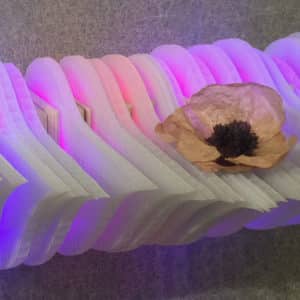 Weight of Beauty, magenta-pink handmade LED wall-mounted light sculpture by Lumencrafter at the Grey Highlands Artists Collective 2017 exhibition, Sacred Spaces: Altars by Artists at The Gallery, L.E. Shore Library, Thornbury.