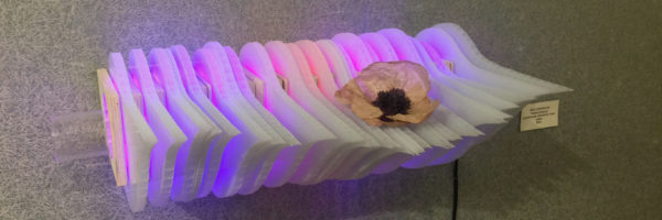 Weight of Beauty, magenta-pink handmade LED wall-mounted light sculpture by Lumencrafter at the Grey Highlands Artists Collective 2017 exhibition, Sacred Spaces: Altars by Artists at The Gallery, L.E. Shore Library, Thornbury.