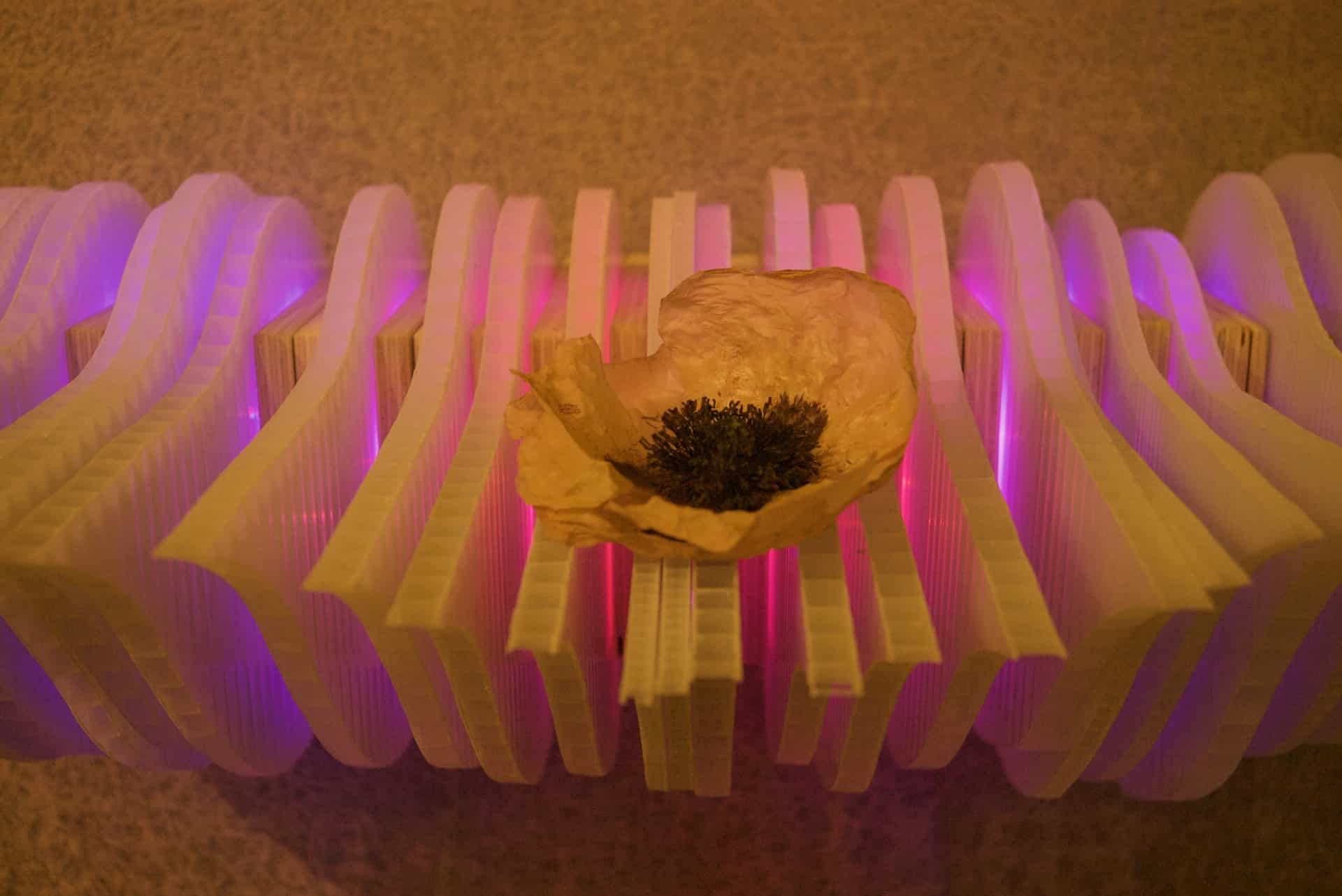 Weight of Beauty, an LED wall-mounted light sculpture by Lumencrafter, a preserved blossom rests on layers of vertical polycarbonate glowing magenta-pink, at the Grey Highlands Artists Collective 2017 exhibition, Sacred Spaces: Altars by Artists at The Gallery, L.E. Shore Library, Thornbury.
