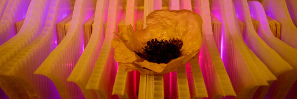 Weight of Beauty, magenta-pink handmade LED wall-mounted light sculpture by Lumencrafter at the Grey Highlands Artists Collective 2017 exhibition, Sacred Spaces: Altars by Artists at The Gallery, L.E. Shore Library, Thornbury.