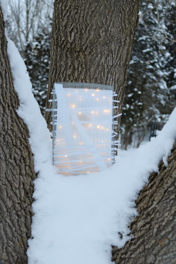 Box #1 original Lumencrafter free-standing light sculpture set in the crook of a tree in snow. Rectangular white battery-powered LED light sculpture, soft white fairy lights shine behind a diffusion plate framed by a sturdy steel grid with several thin twinwall strips poking through, up and down, back and forth.