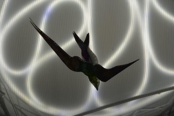 Violet-green Swallow, original LED ceiling light sculpture by Lumencrafter. Close-up of hand-painted bird hanging below a 3-foot diameter diffusion plate, thin polycarbonate strips wound round create bird nest illusion.