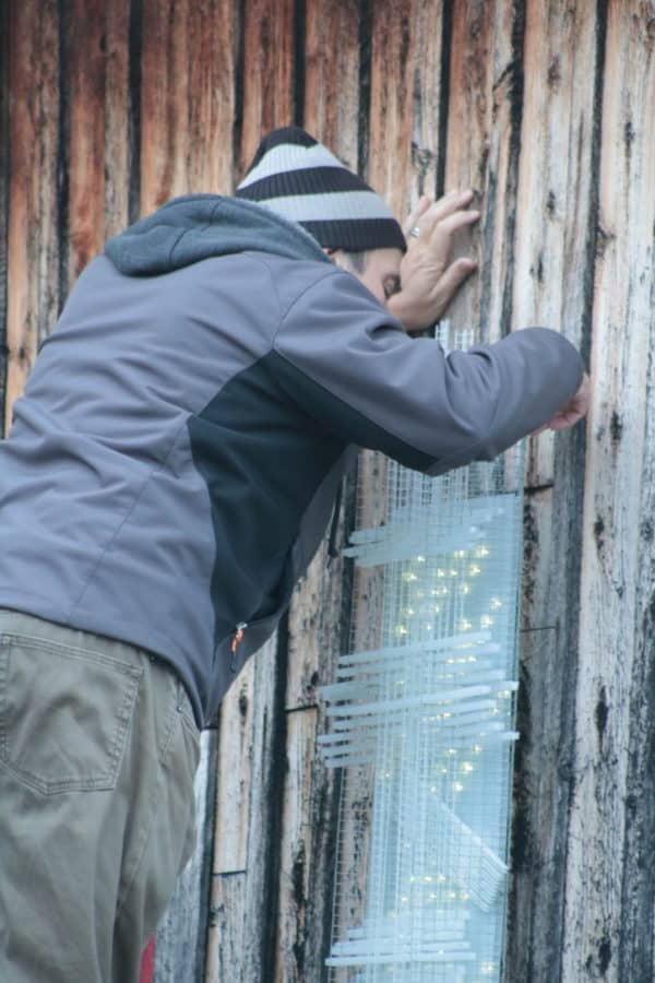 Solar Thing, unique solar-powered hand-made pale green four-foot long LED light sculpture by Lumencrafter being mounted by artist Reid Dennison on the barn at Flesherton's Local Colour's 2020 Art Garden.