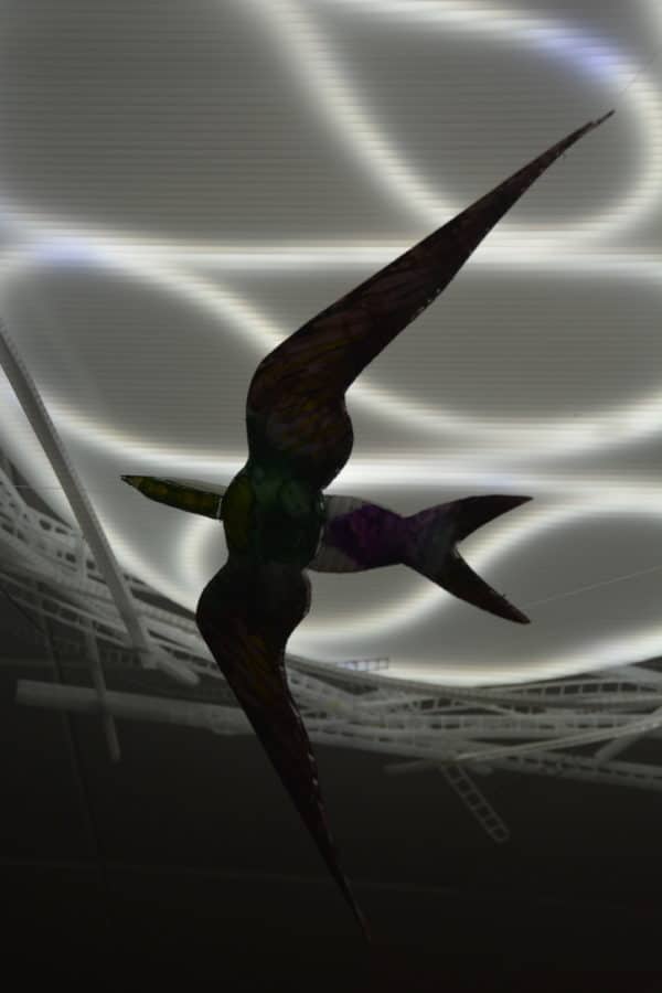 Violet-green Swallow, original LED ceiling light sculpture by Lumencrafter. Close-up of hand-painted bird hanging below a 3-foot diameter diffusion plate, thin polycarbonate strips wound round create bird nest illusion.