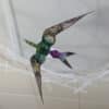 Violet-green Swallow, original LED ceiling light sculpture by Lumencrafter. Close-up of hand-painted bird hanging below a 3-foot diameter diffusion plate, thin polycarbonate strips wound round create bird nest illusion.