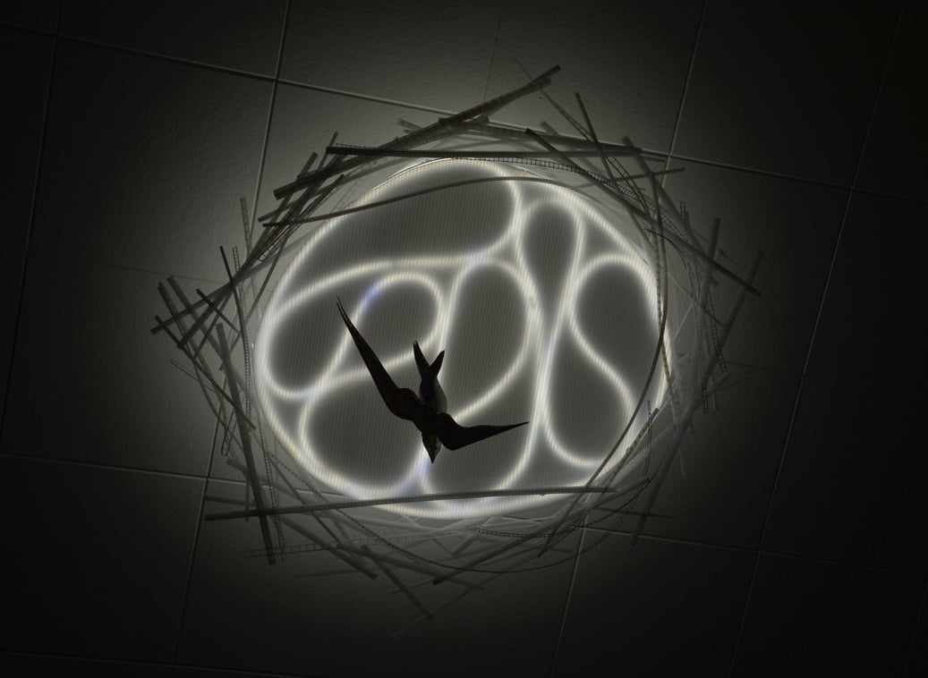 Violet-green Swallow, original LED ceiling light sculpture by Lumencrafter. Back-lit hand-painted bird flies below a 3-foot diameter diffusion plate, bright LED rope light, thin polycarbonate strips wound round create bird nest illusion.