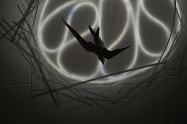 Violet-green Swallow, original LED ceiling light sculpture by Lumencrafter. Close-up of hand-painted bird hanging below a 3-foot diameter diffusion plate, thin polycarbonate strips wound round create bird nest illusion.