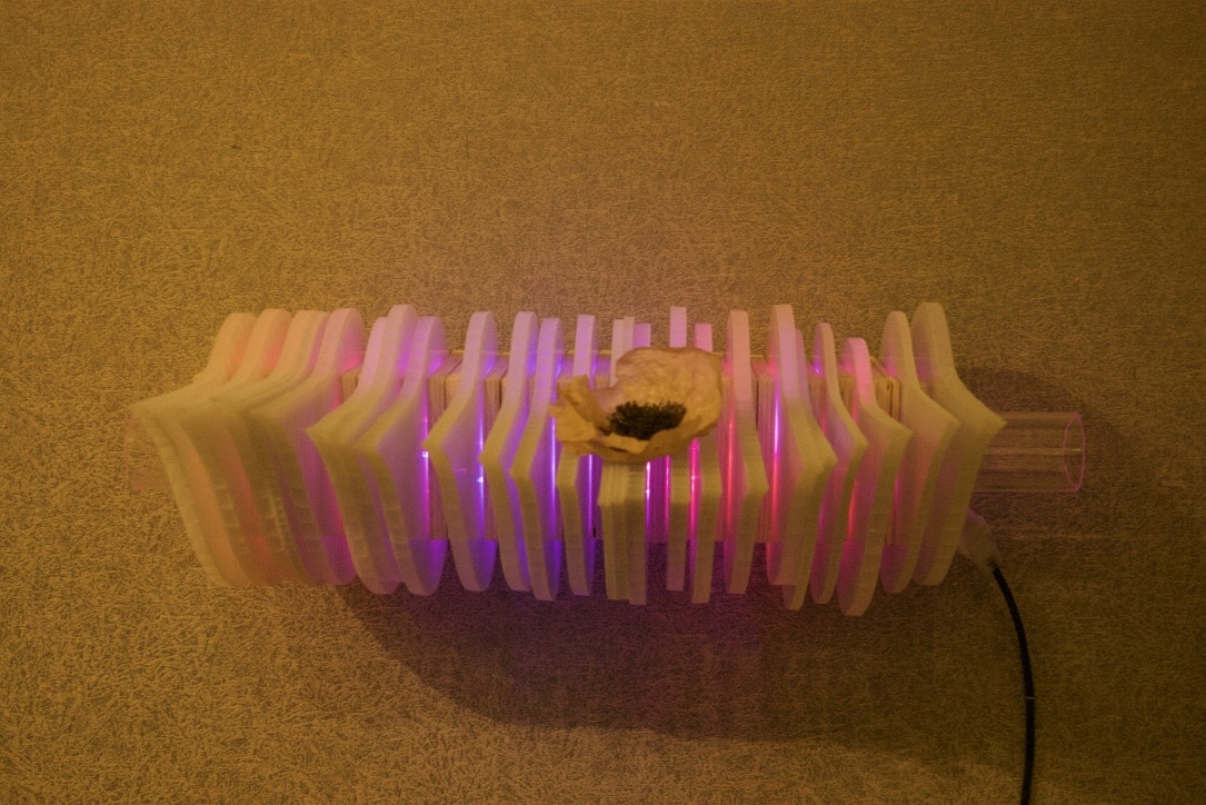 front view of Weight of Beauty, an LED wall-mounted light sculpture by Lumencrafter. A preserved blossom rests on layers of vertical polycarbonate glowing magenta-pink at the Grey Highlands Artists Collective 2017 exhibition, Sacred Spaces: Altars by Artists at The Gallery, L.E. Shore Library, Thornbury.