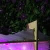 original LED light sculpture, violet-pink and white light, free-standing, slightly more than 2 feet square, glows in the garden by a cascade of deep purple clematis