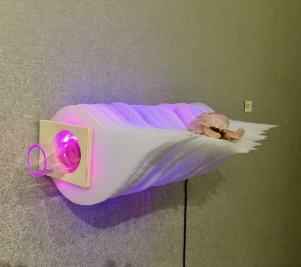 side view of Weight of Beauty, an LED wall-mounted light sculpture by Lumencrafter. A preserved blossom rests on layers of vertical polycarbonate glowing magenta-pink at the Grey Highlands Artists Collective 2017 exhibition, Sacred Spaces: Altars by Artists at The Gallery, L.E. Shore Library, Thornbury.  shows acrylic tube of changing tones of pink light surrounded by alternating layers of plywood and polycarbonate.